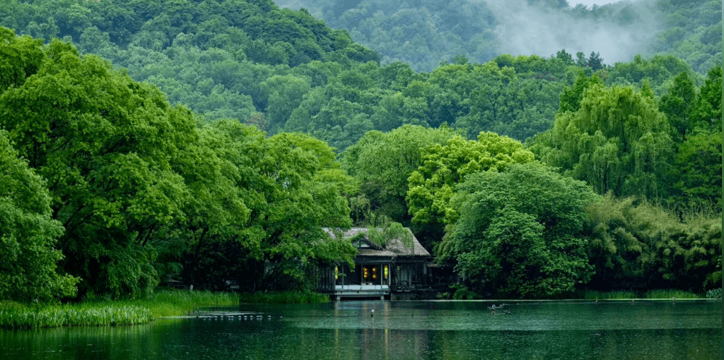 西湖林间小屋